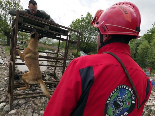 Chien de recherche en action à Neuville Saint-Rémy